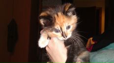 Фотография Сергеевой Любови