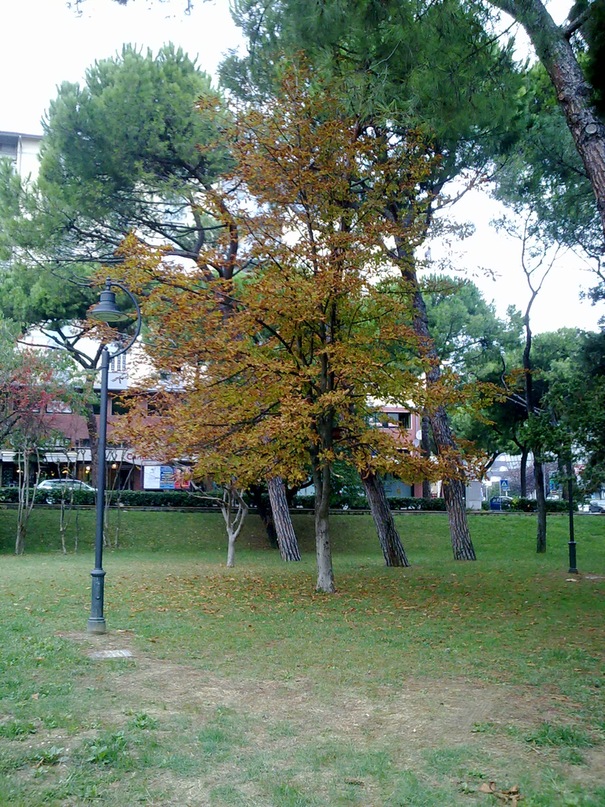 Сергей Савченко фотография #43