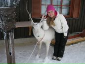 Фотография Бугаенко Оленьки