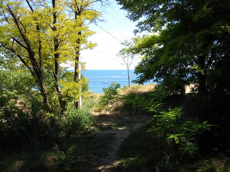 Dima Aksyonenko фотография #40