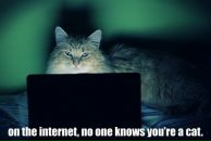 Сергей Розумий фотография #41 (источник - https://vk.com/id2642833)