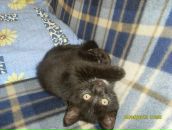 Фотография Байтимировой Гузель