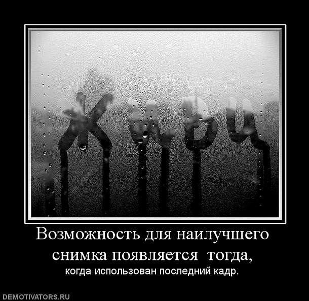 Илья Стафеев фотография #43