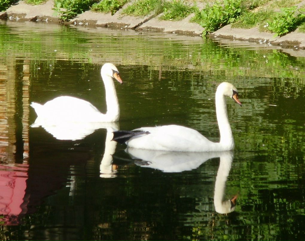 Гузель Гумерова фотография #37