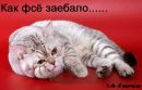 Сірожа Семенюк фотография #3 (источник - https://vk.com/id154868195)
