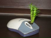 Андрей Мамаев фотография #11 (источник - https://vk.com/id3088406)