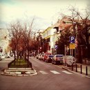 Јелена Пердушевић фотография #31 (источник - https://vk.com/id134877804)
