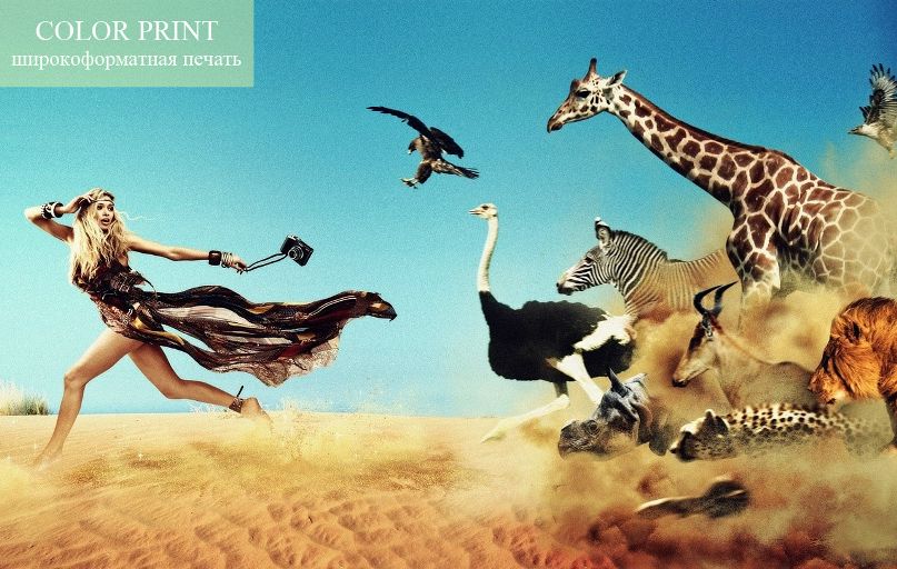 Color Print фотография #24