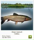 Андрій Коцюба фотография #30 (источник - https://vk.com/id155878180)