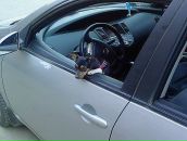 Фотография Осиповой Дарьи