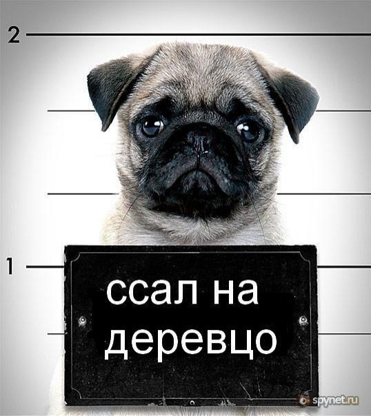 №5, Артур Яхновец, Сочи №5, Артур Яхновец, Сочи