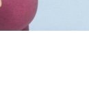 Олексій Новак фотография #17 (источник - https://vk.com/id17048962)