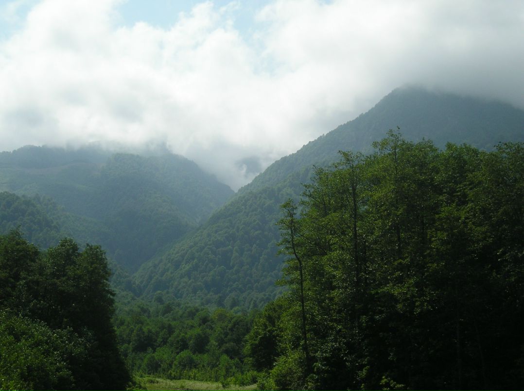 Николай Крючков фотография #42