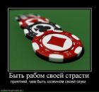 Тима Мороз фотография #24 (источник - https://vk.com/id249775)