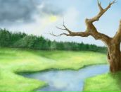 Фотография Макеевой Ирины