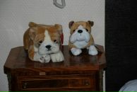 Фотография Мудреченко Любови