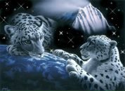 Фотография Крыловой Майи