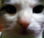 Фотография Бондаренко Виктории