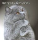 Фотография Сорокиной Елены