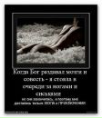 Фотография Курнышевой Татьяны