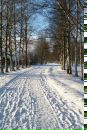 Фотография Клюевой Натальи