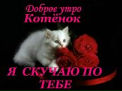 Іван Попович фотография #15 (источник - https://vk.com/id114307623)