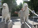 Юрій Чербунін фотография #13 (источник - https://vk.com/id154886764)
