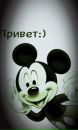 Фотография Мила Метель