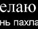 Діана Ольжич фотография #5 (источник - https://vk.com/id137044494)