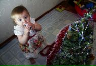 Фотография Шевченко Павел