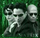 Фотография Странникова Максима