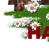 Наталія Остафійчук фотография #32 (источник - https://vk.com/id134203558)