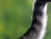 Ольчік Позетіффф фотография #7 (источник - https://vk.com/id33643448)