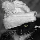 Фотография Макеевой Елизаветы