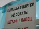 Іра Пелех фотография #31 (источник - https://vk.com/id133772672)