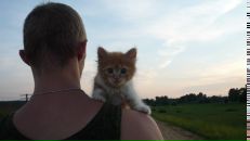 Фотография Голубева Артема