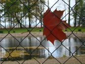 Фотография Скударновой Насти