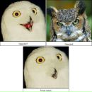 Фотография Ким Алина