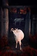 Иван Пушкин фотография #41 (источник - https://vk.com/id798232)