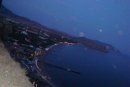 Інна Щуровська (Ільченко) фотография #5 (источник - https://vk.com/id27018392)