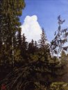 Дмитрий Кулыгин фотография #23 (источник - https://vk.com/id399250)