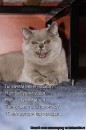 Софійка Слюсар фотография #44 (источник - https://vk.com/id204221306)