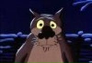 Фотография Волкова Николая