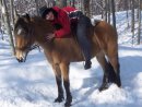 Оля Пилипів фотография #25 (источник - https://vk.com/id28081459)