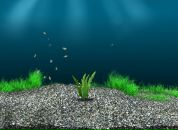 Макс Мадяр фотография #14 (источник - https://vk.com/id157018132)