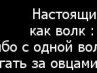 Сергій Ревуха фотография #48 (источник - https://vk.com/id91856395)