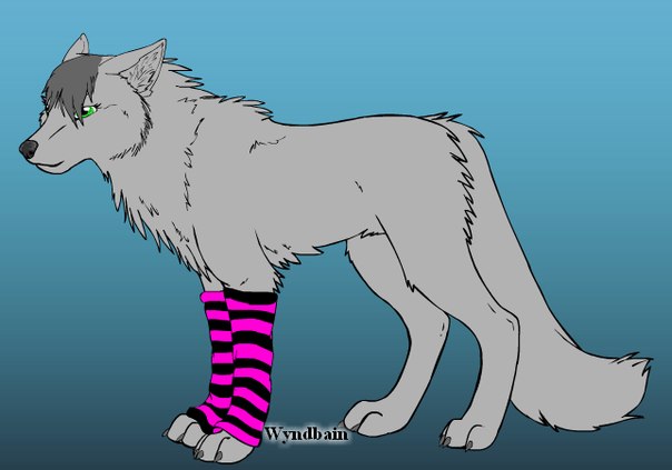 Cool Wolf фото №1