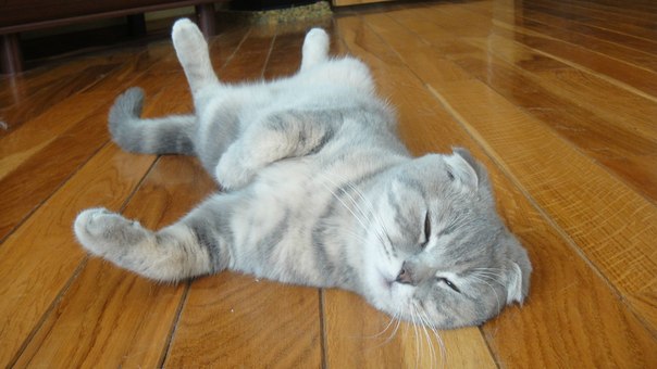 Оля Олина фото №26