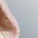 Ірусічка Ліпінська фотография #36 (источник - https://vk.com/id152990329)