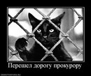 Міша Непийвода фотография #2 (источник - https://vk.com/id157800476)